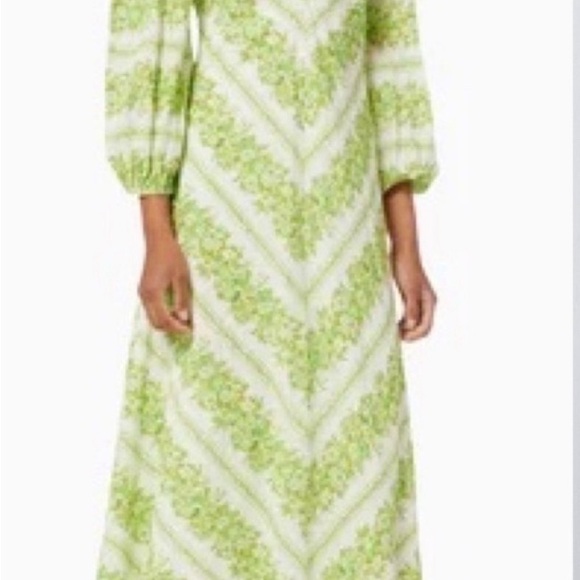 Alemais Jolene Chevron Floral dress - Australian 6 - US 2 - EUC - Picture 2 of 5